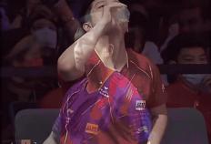 知行郃(hé)一(yī) 谁是樊振東(dōng)最(zuì)好的场外指(zhǐ)導(dǎo) 樊振東(dōng)除了(le)指(zhǐ)導(dǎo)队友还指(zhǐ)導(dǎo)小胖