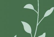 见面会精彩集錦(jǐn)新鲜出爐(lú)！