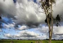 特朗普(pǔ)重磅(bàng)出手！锁定美(měi)軍(jūn)橄榄球赛独家转播，直接封殺(shā)同时段(duàn)大(dà)學(xué)季(jì)后赛