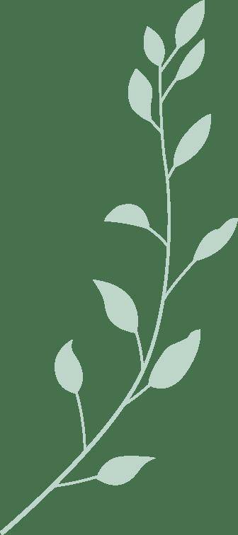 见面会精彩集錦(jǐn)新鲜出爐(lú)！