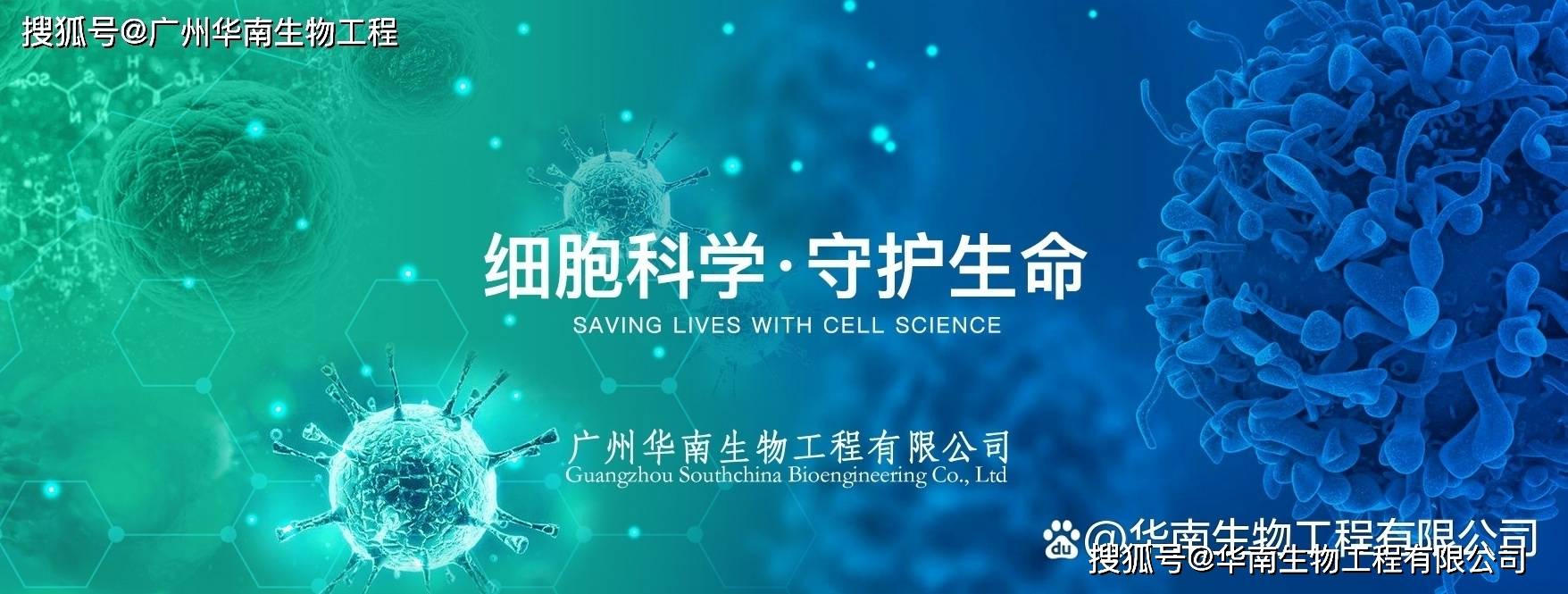 丹(dān)麦ssi中国官网中文版