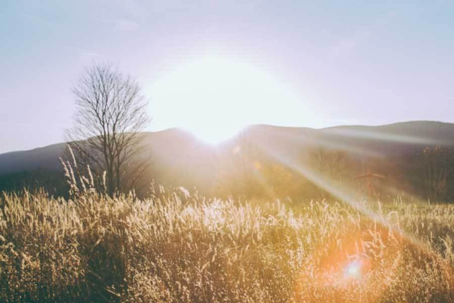 电競(jìng)比賽(sài)推动青少(shǎo)年团队协作
