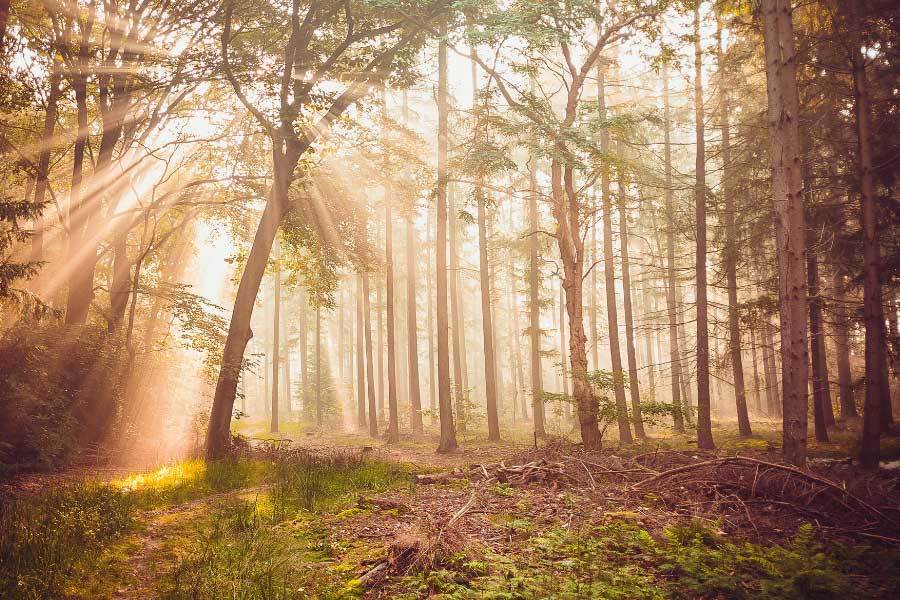 电竞入选亚运会正(zhèng)式比赛項(xiàng)目